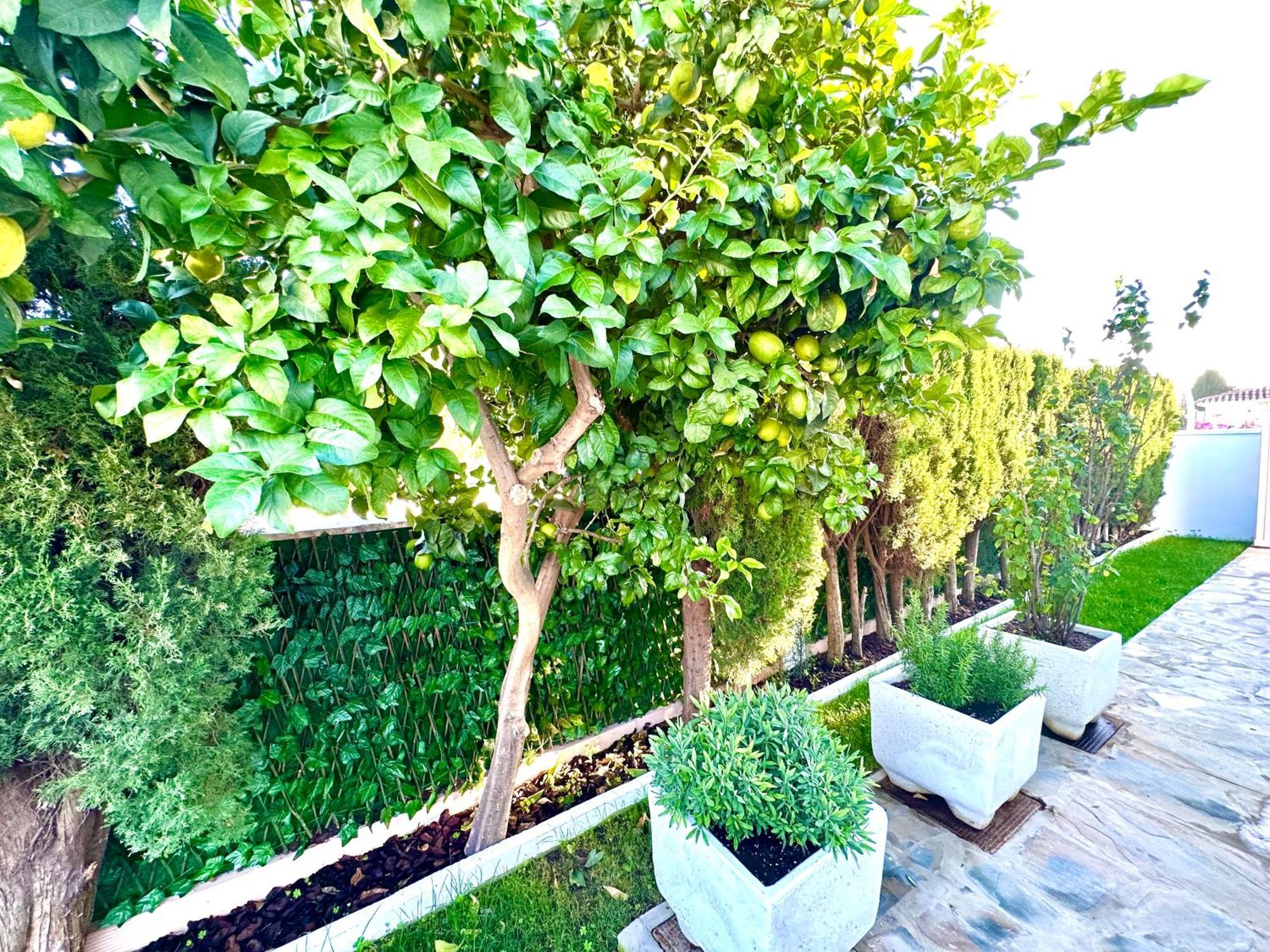 Villa Casacara Marbella Beachside Costabella -Spain Екстер'єр фото
